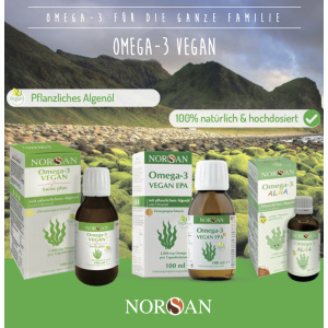 25er Bündel Flyer Omega-3 Vegan