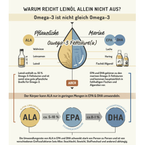 10er Bündel Leinölgrafik